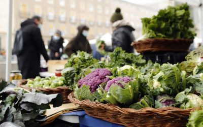 BOLETÍN 25 de febrero ASOCIACIÓN DE PRODUCTORES DE LA MUESTRA AGROECOLÓGICA DE ZARAGOZA