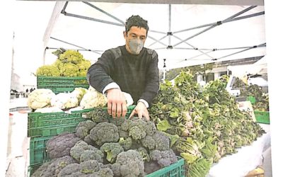 La muestra, a través del brócoli, en Heraldo