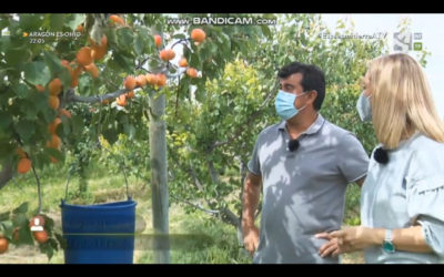 Jalón Nature en Aragón Televisión