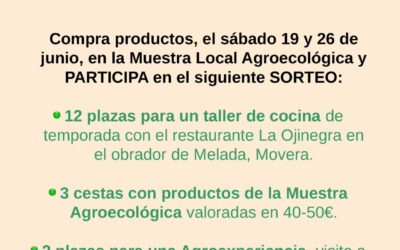BOLETÍN Nº 27