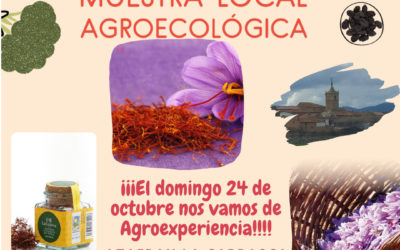 BOLETÍN Nº 44